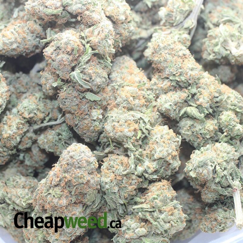 Emma’s Nuken - Image 3