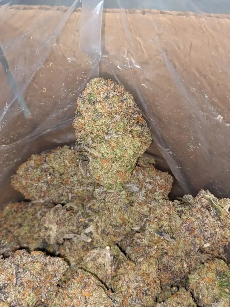 El Jefe - Image 6