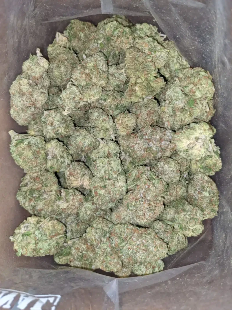 El Chapo - Image 7