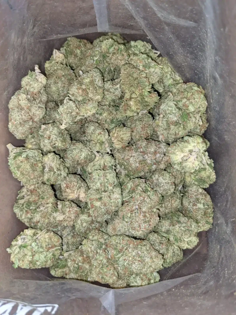 El Chapo - Image 6