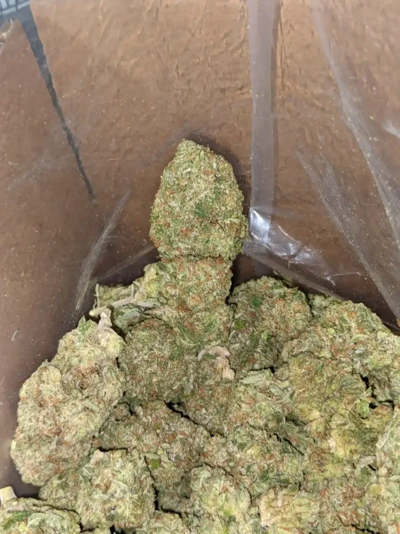 El Chapo - Image 5