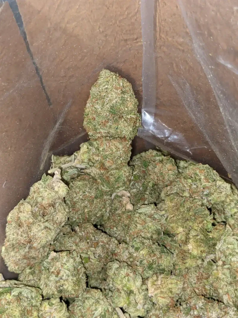 El Chapo - Image 4