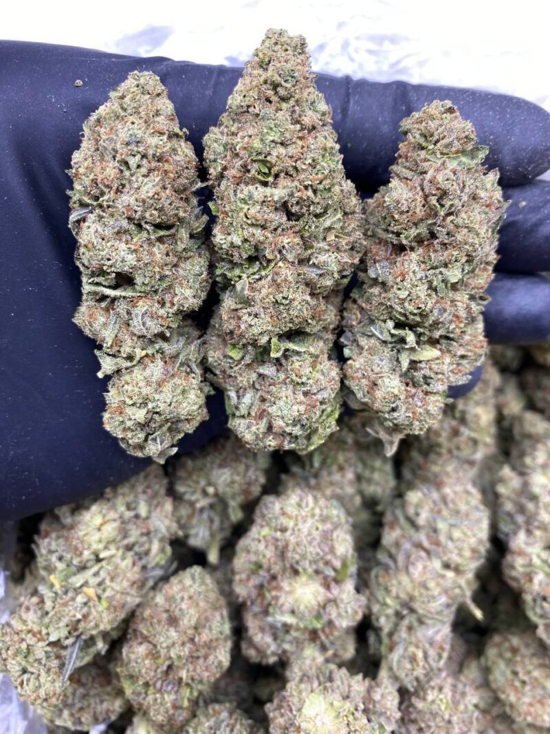 White Cherry OG