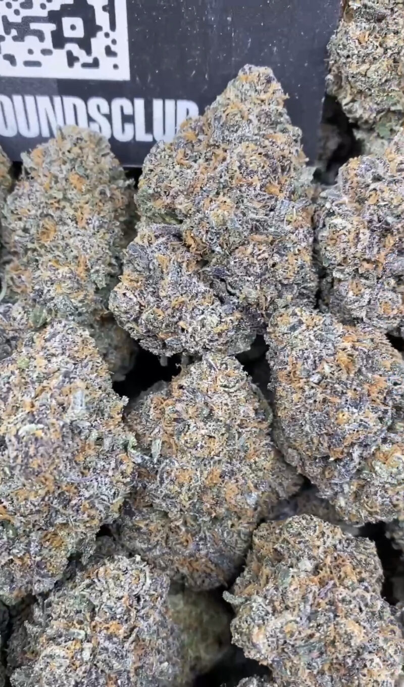 Black Cherry Gelato