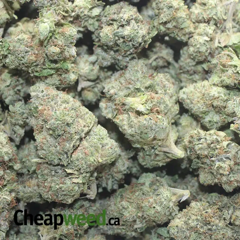 Fire Bubba - Image 3