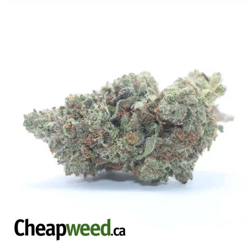 Fire Bubba