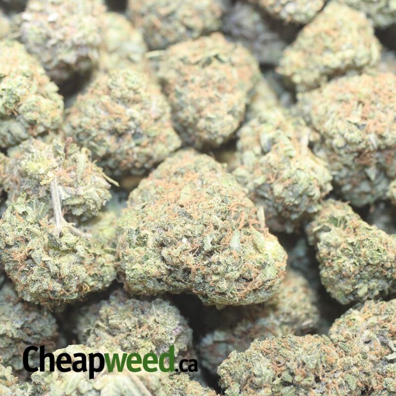 Fire OG - Image 3