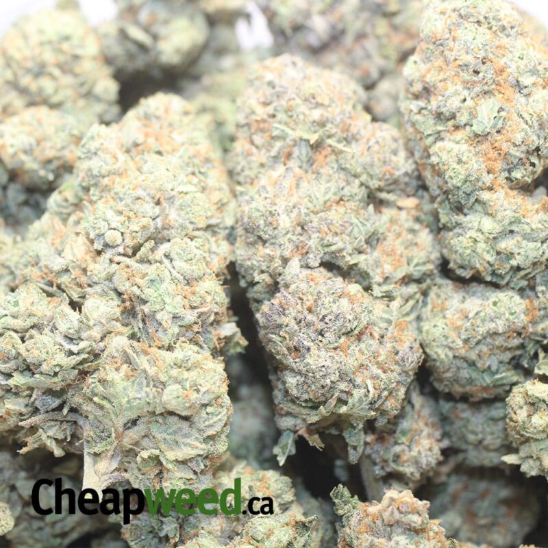 Frosted Kush - Image 3