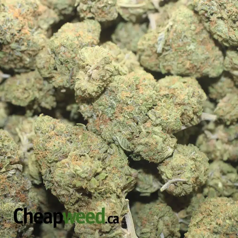 Frosted Kush Cakes - Image 3