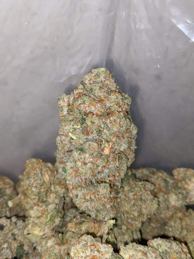 Frosted Kush - Image 7