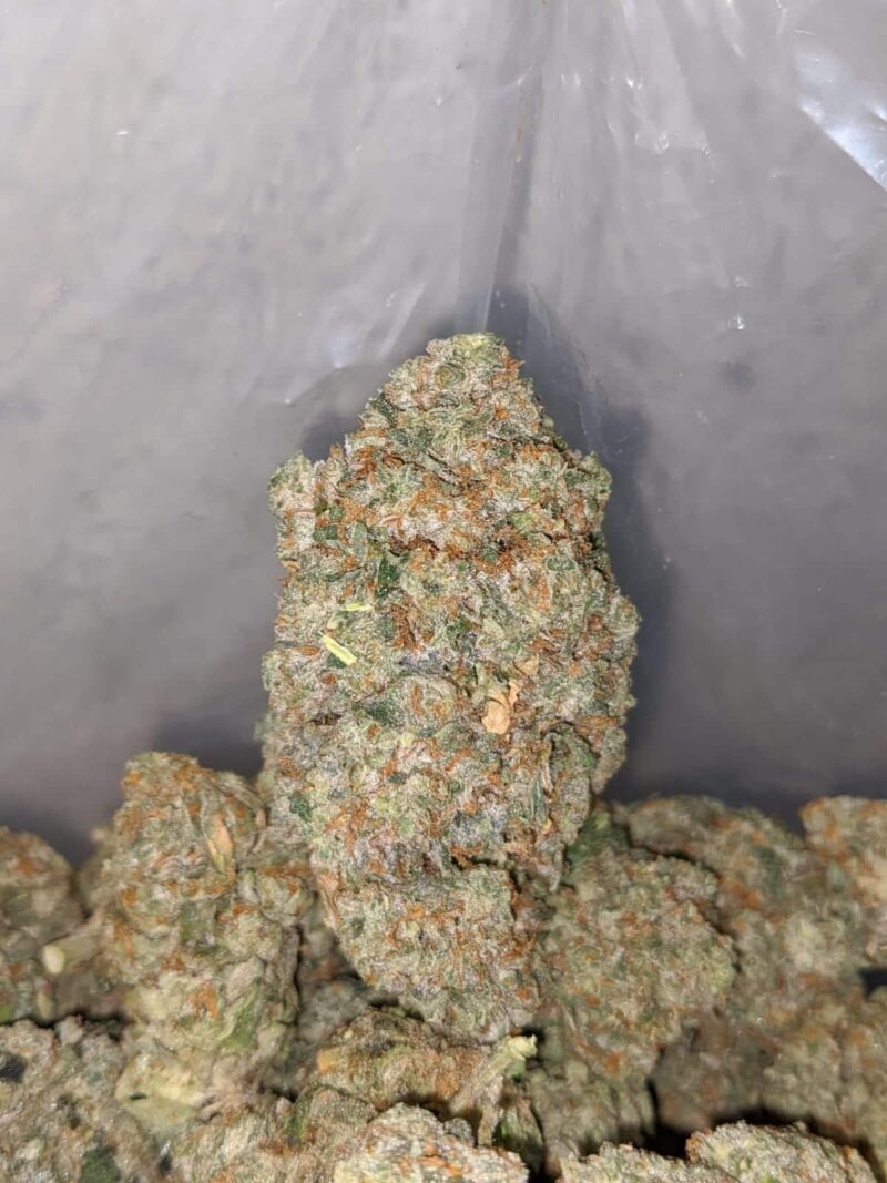 Frosted Kush - Image 6