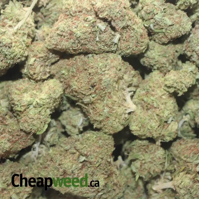 Fruit Loops - Image 3