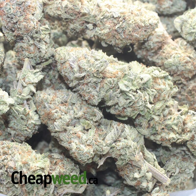 Fruit Punch #2 - Image 3