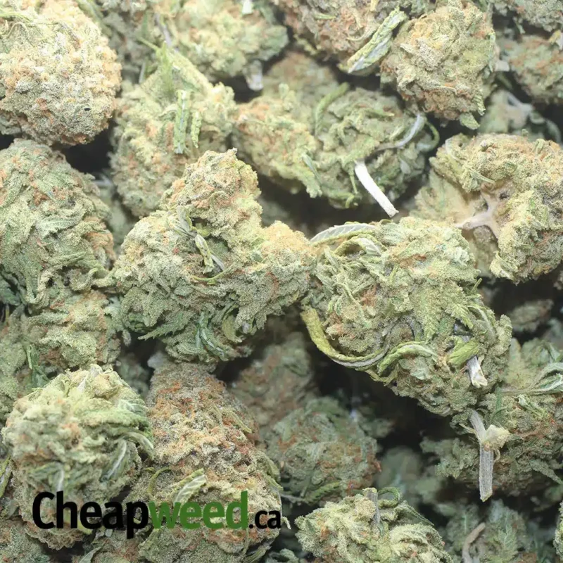 Fruity Pebbles - Image 3