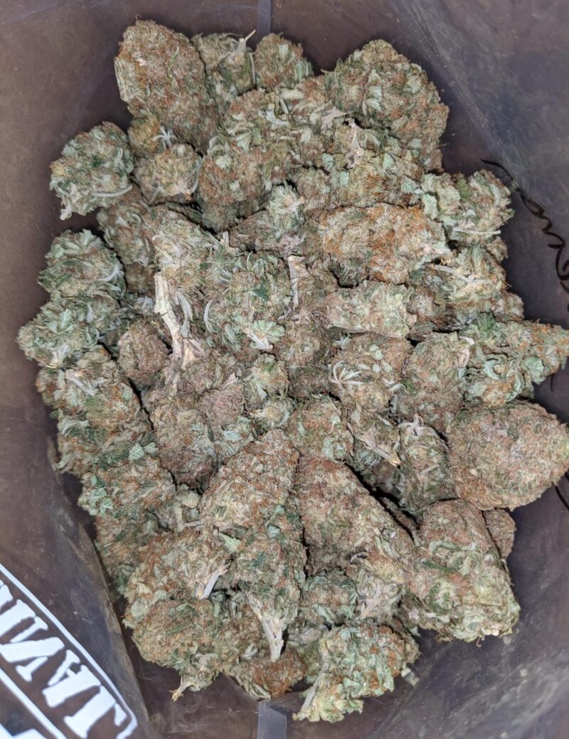 Funky Lemon