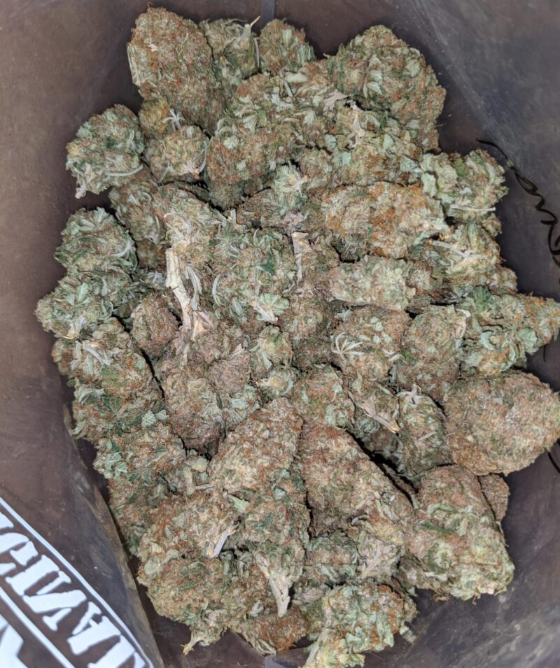 Funky Lemon - Image 2