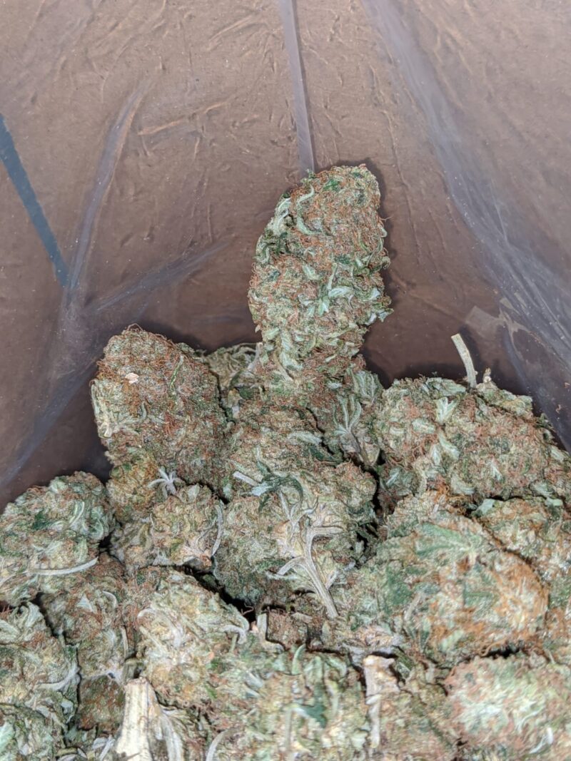 Funky Lemon - Image 4
