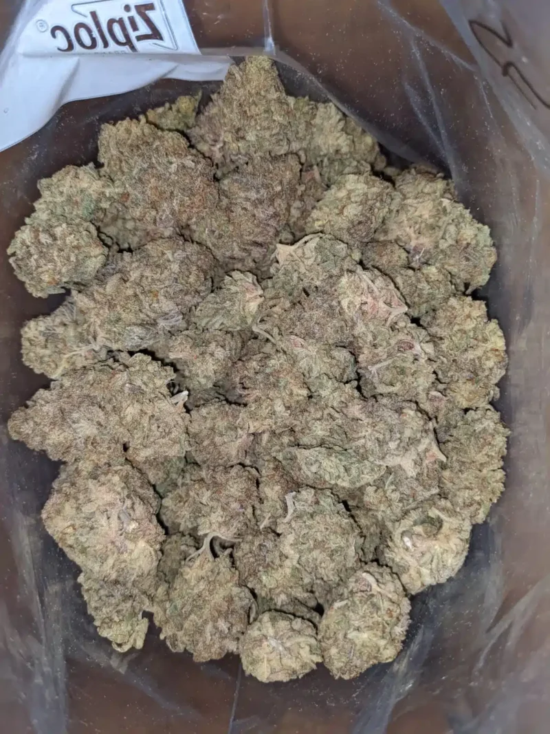 Funky Monkey