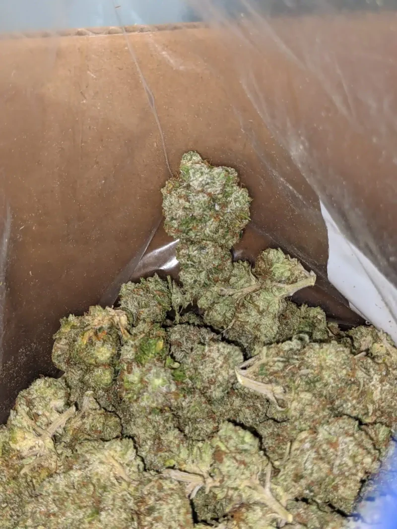 Fire Bubba - Image 7