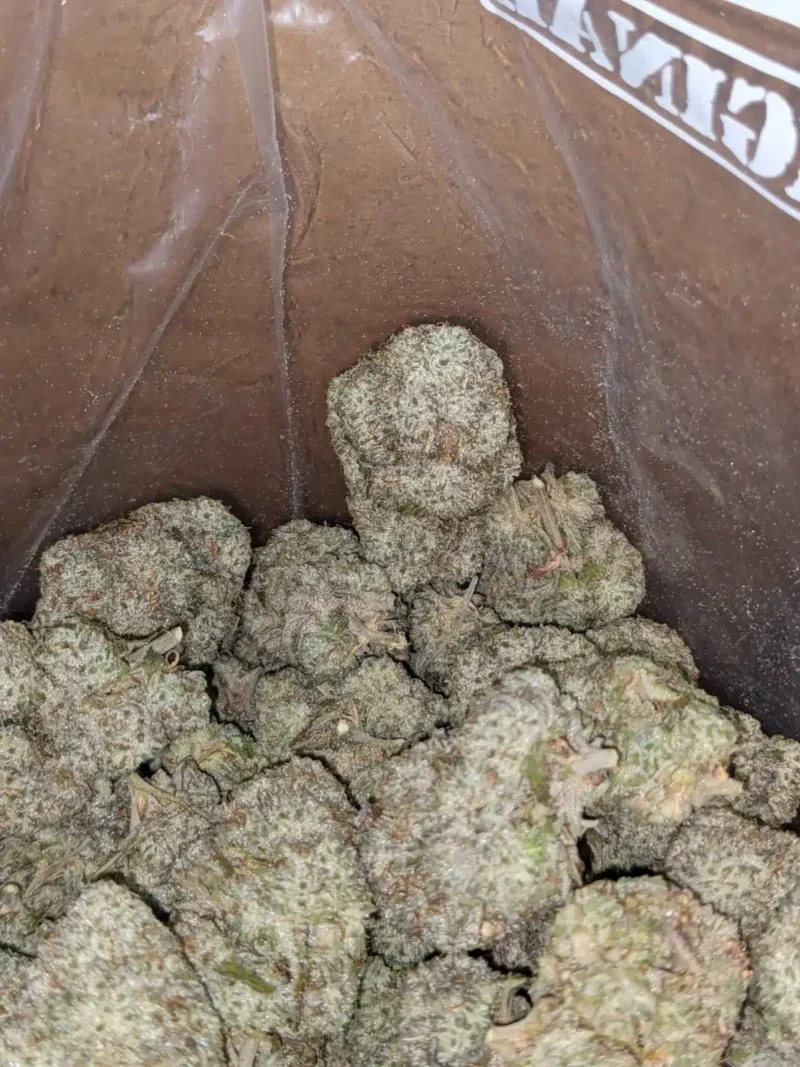 Frosted Donut - Image 7