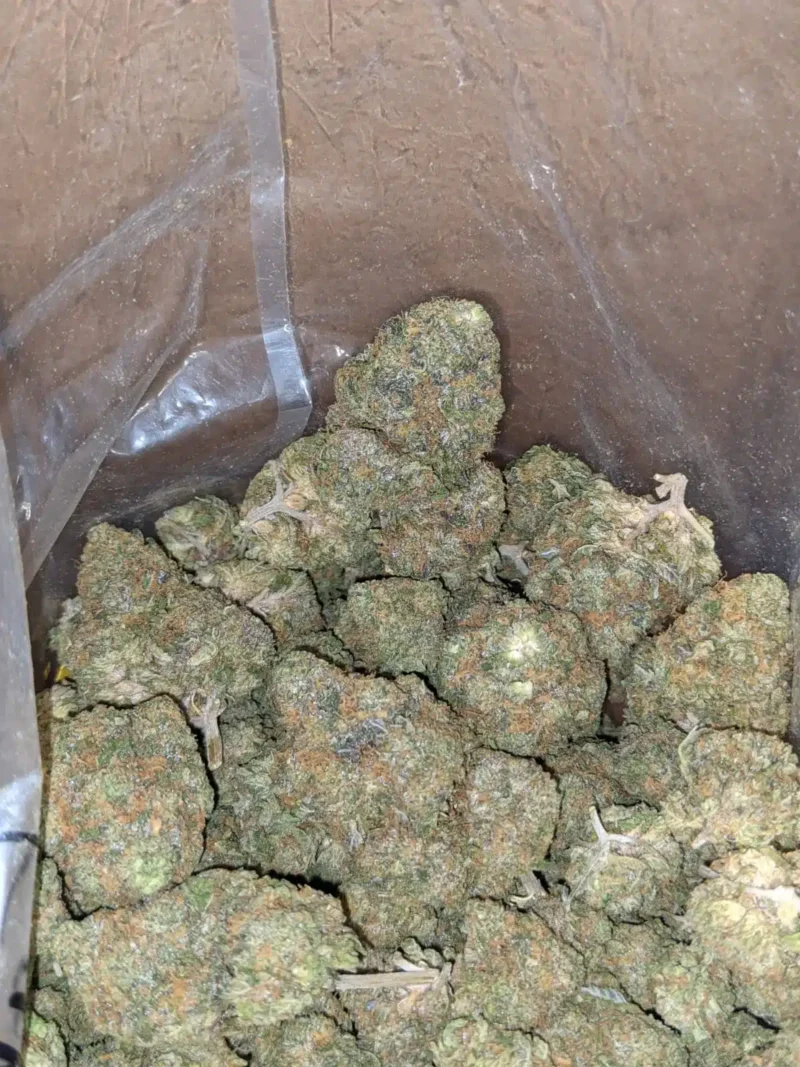 Frosted Kush Cakes - Image 7