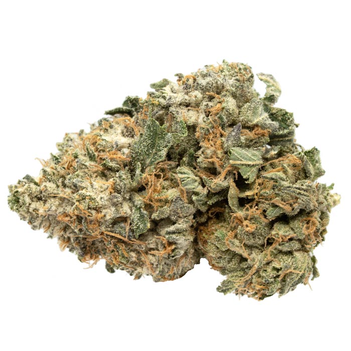 Frosty Kush