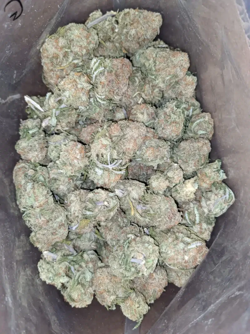 Fruity Pebbles - Image 6