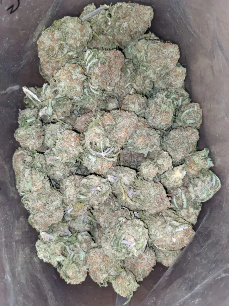 Fruity Pebbles - Image 7