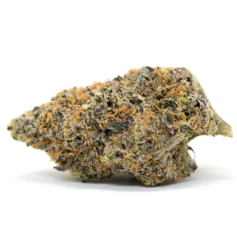 Fruit Punch