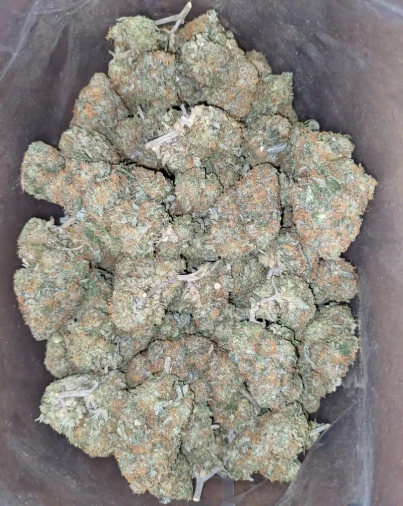 Fruit Cake - Image 5