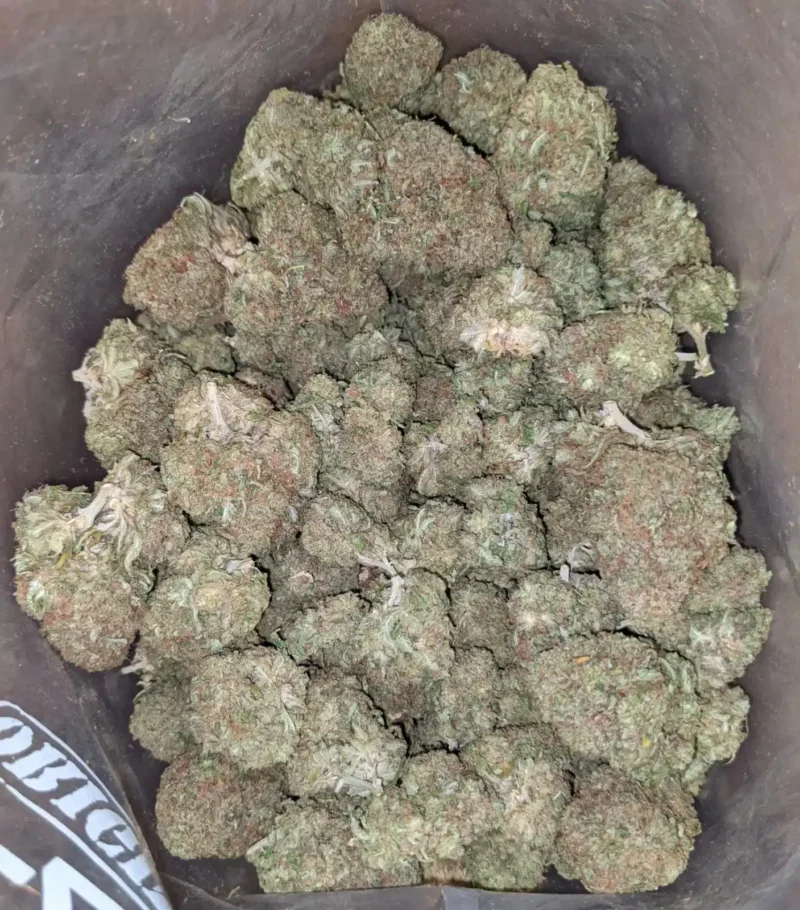 Fruit Loops - Image 5