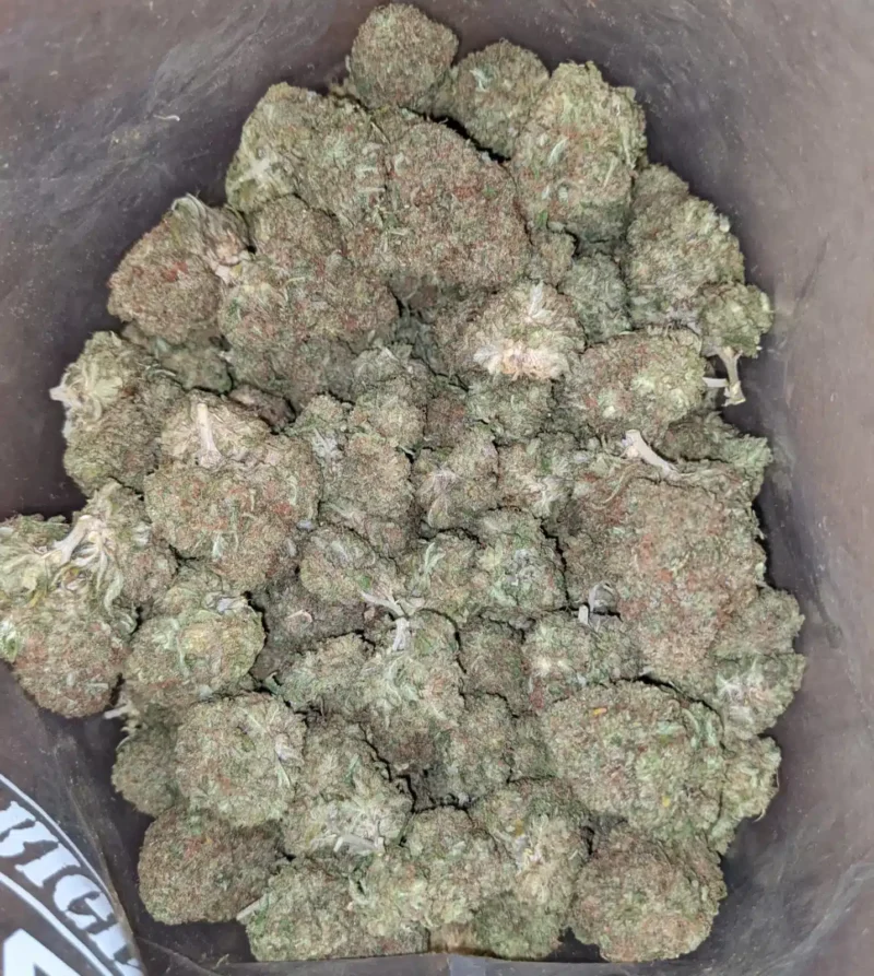 Fruit Loops - Image 4