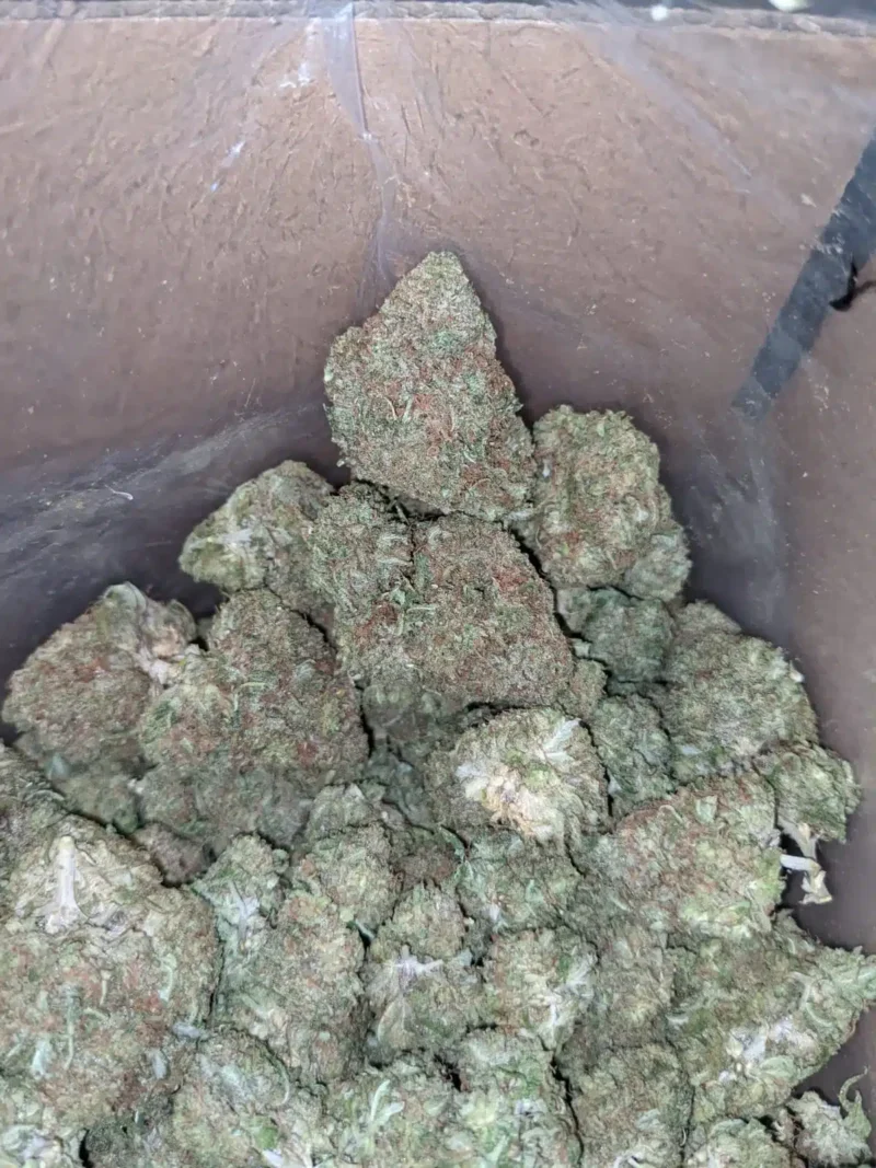 Fruit Loops - Image 7