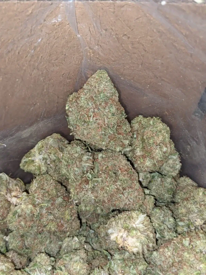 Fruit Loops - Image 6