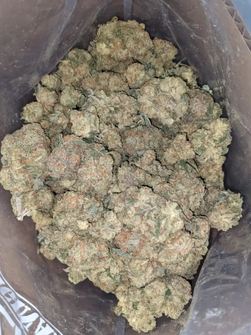 Fruit Punch - Image 2