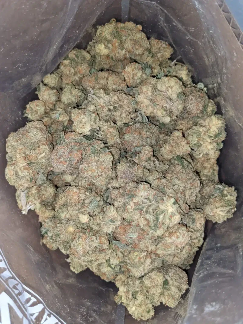 Fruit Punch