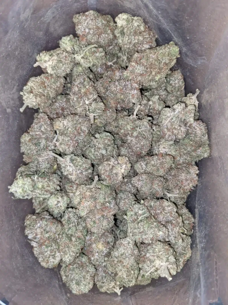 G13 - Image 4