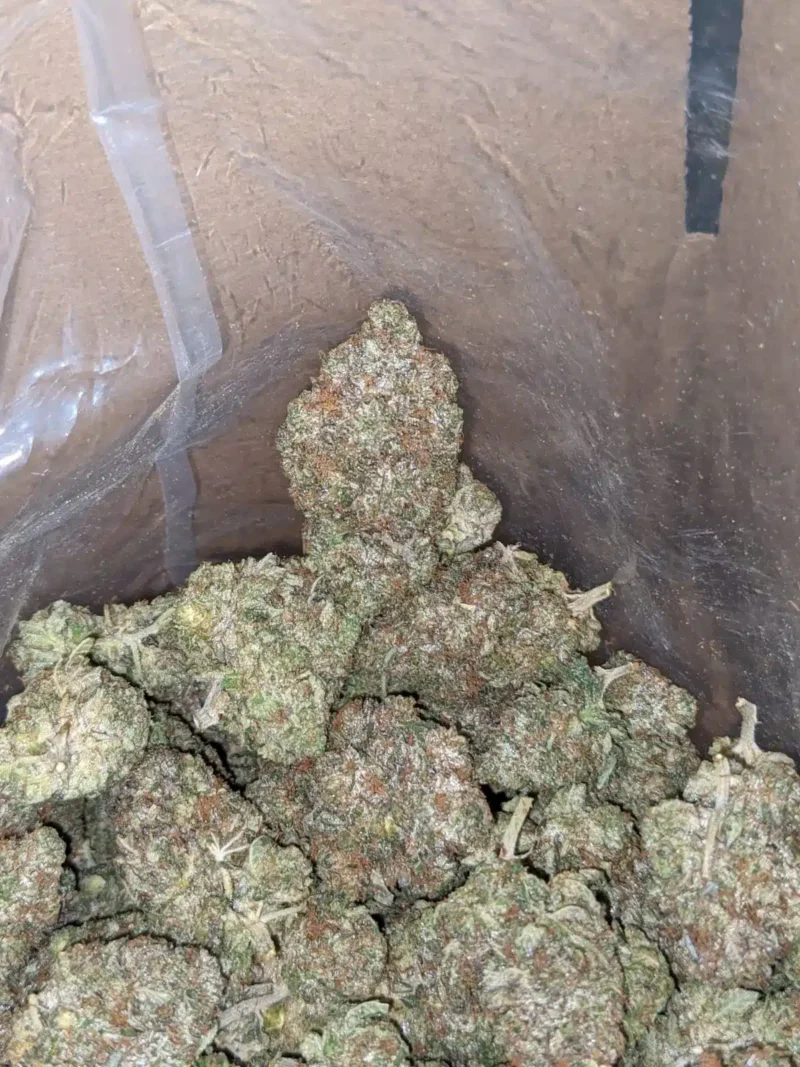 G13 - Image 6