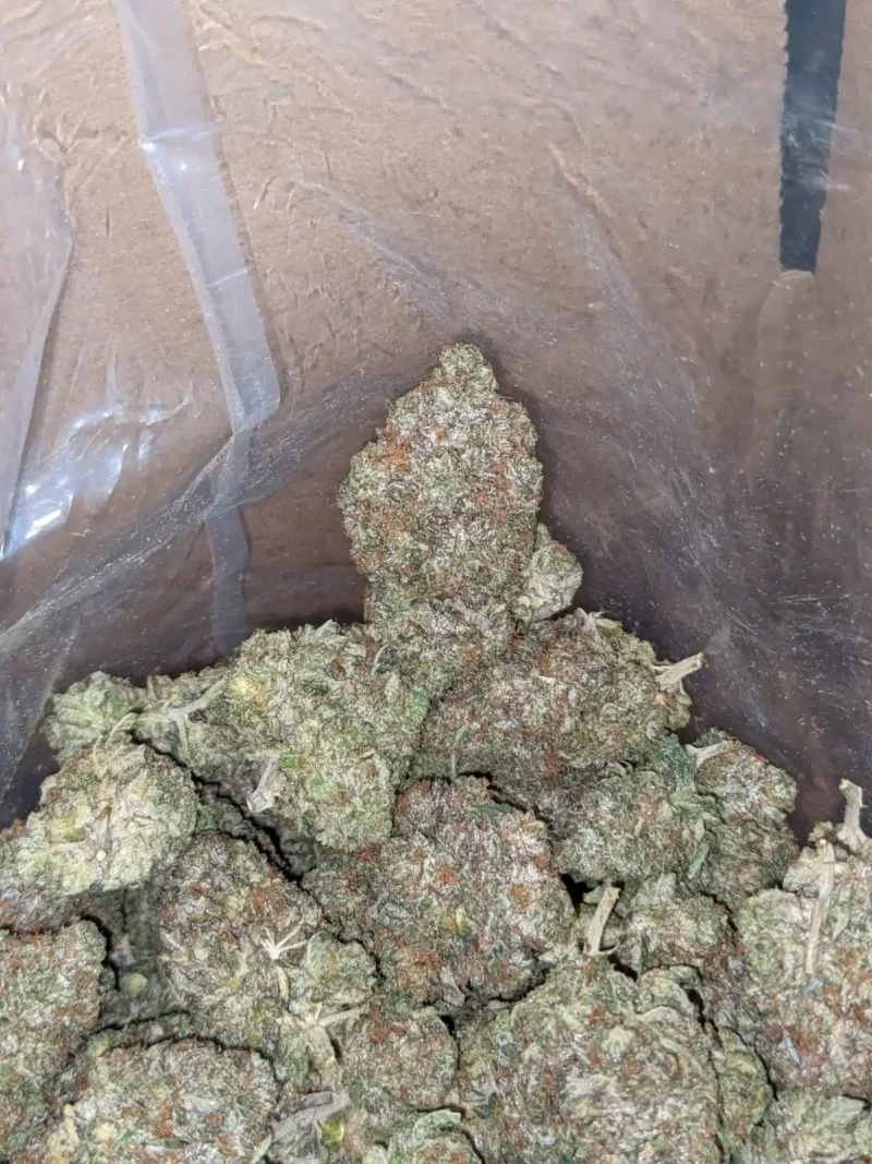G13 - Image 5