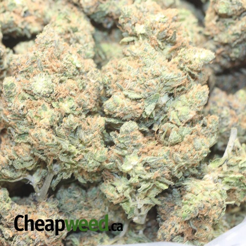 Green Hulk - Image 3