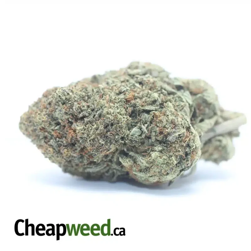 G13
