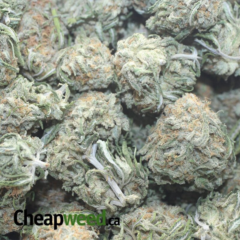 Galactic Cookies - Image 3