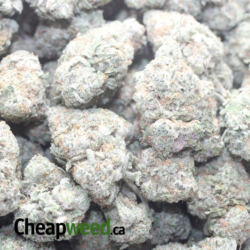 Galaxy Cookies - Image 3