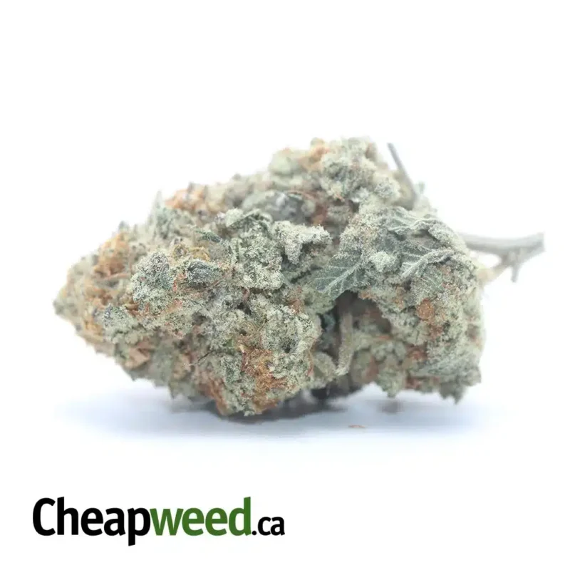 Garlic Breath #2