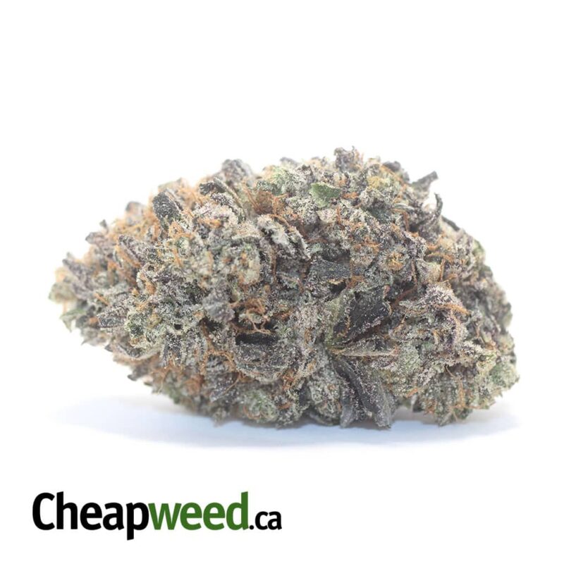 Greenfarm’s Holy Grail