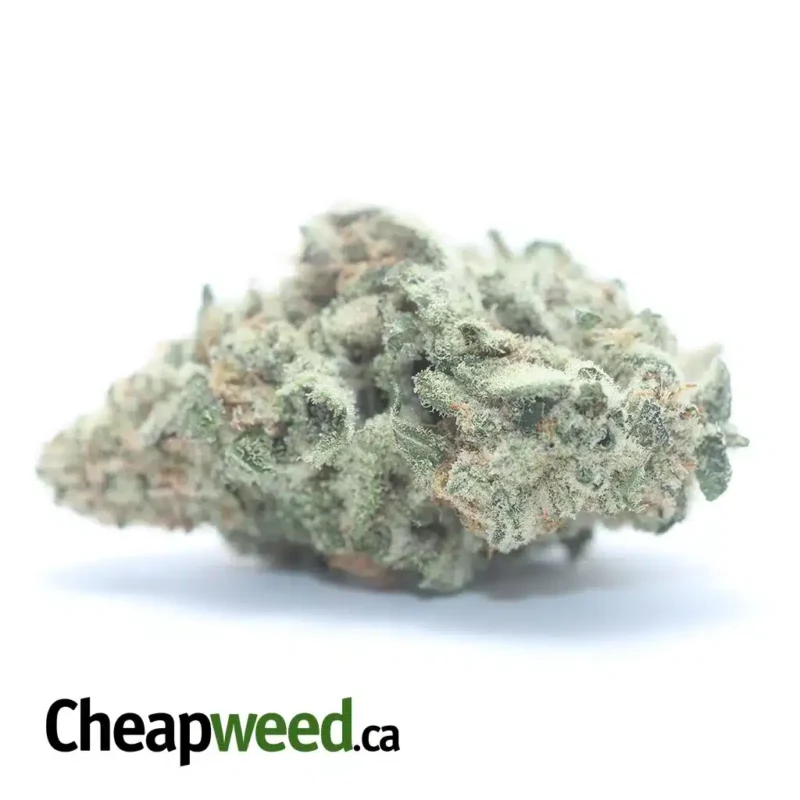 Ghost Cookies
