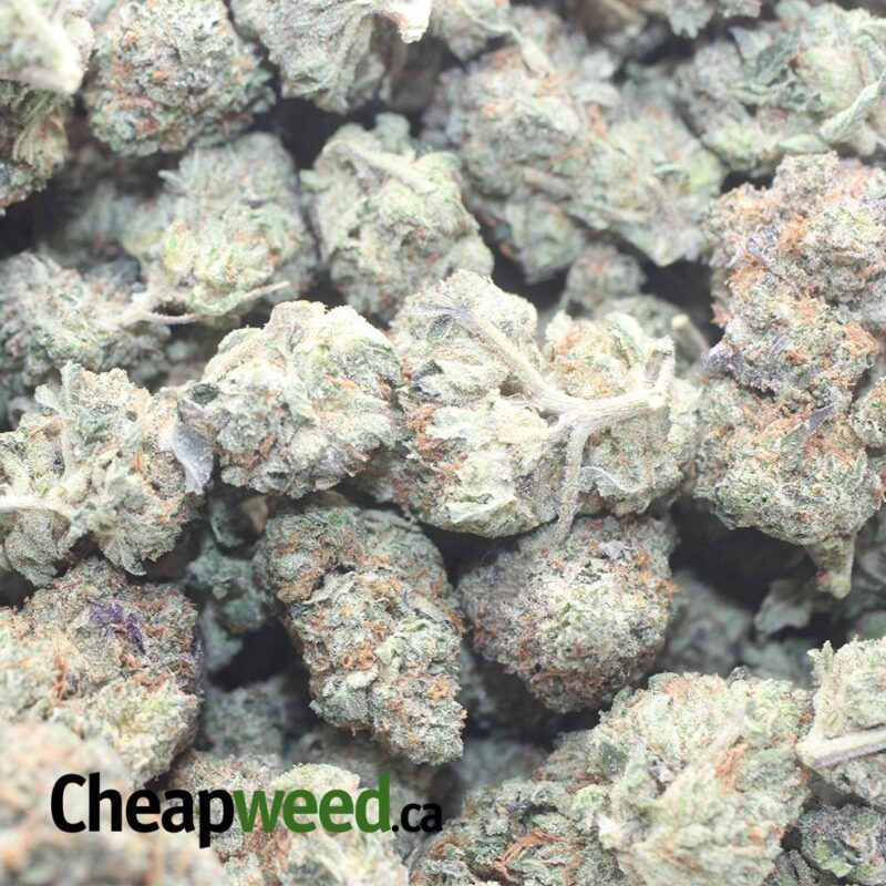 Girl Scout Cookies #2 - Image 3
