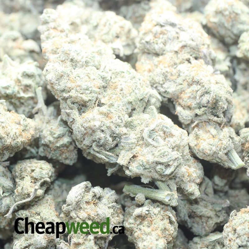 GMO Cookies #2 - Image 3