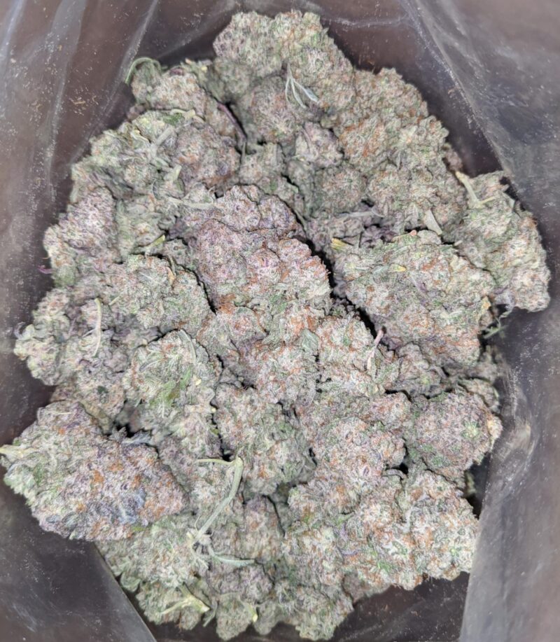 GMO Zookies - Image 6