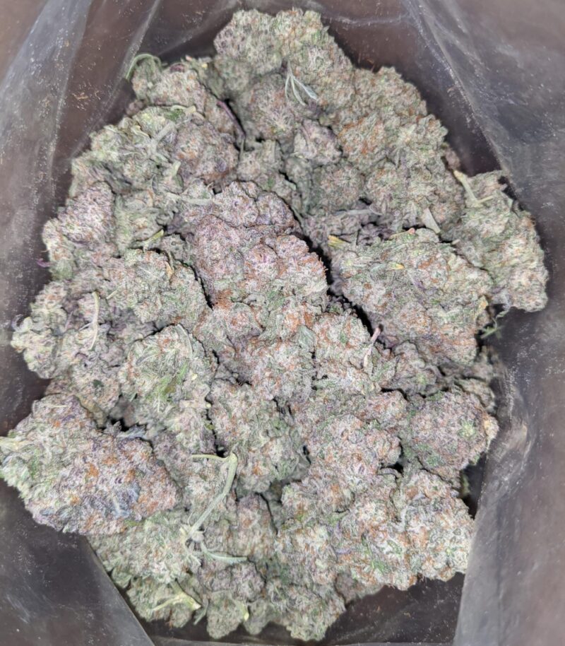 GMO Zookies - Image 5